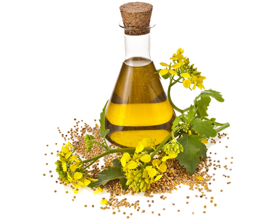 canola oil.jpg